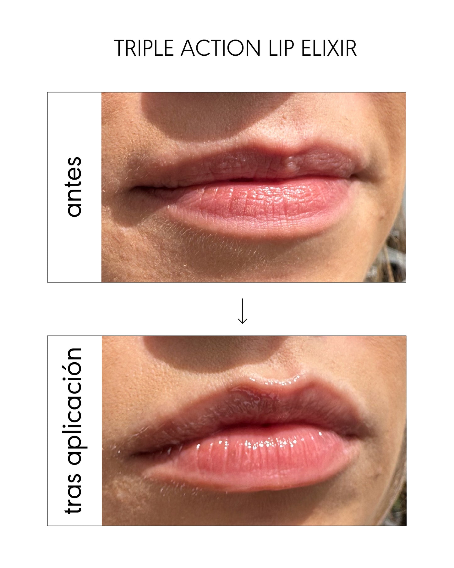 Lip Perfection: Mask & Elixir